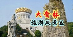 插屄逼小视频中国浙江-绍兴大香林旅游风景区